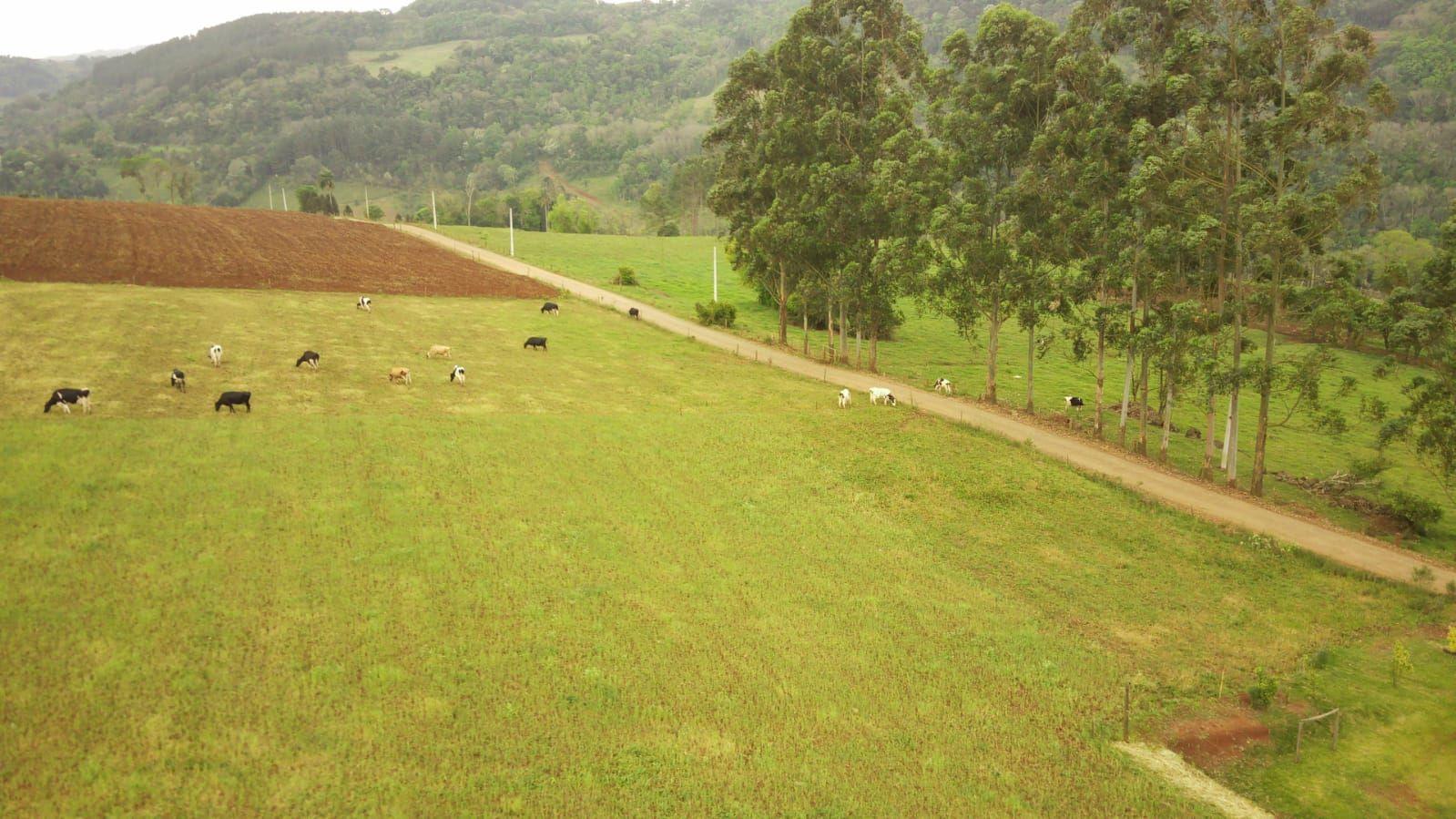 Loteamento e Condomínio à venda, 267000m² - Foto 22