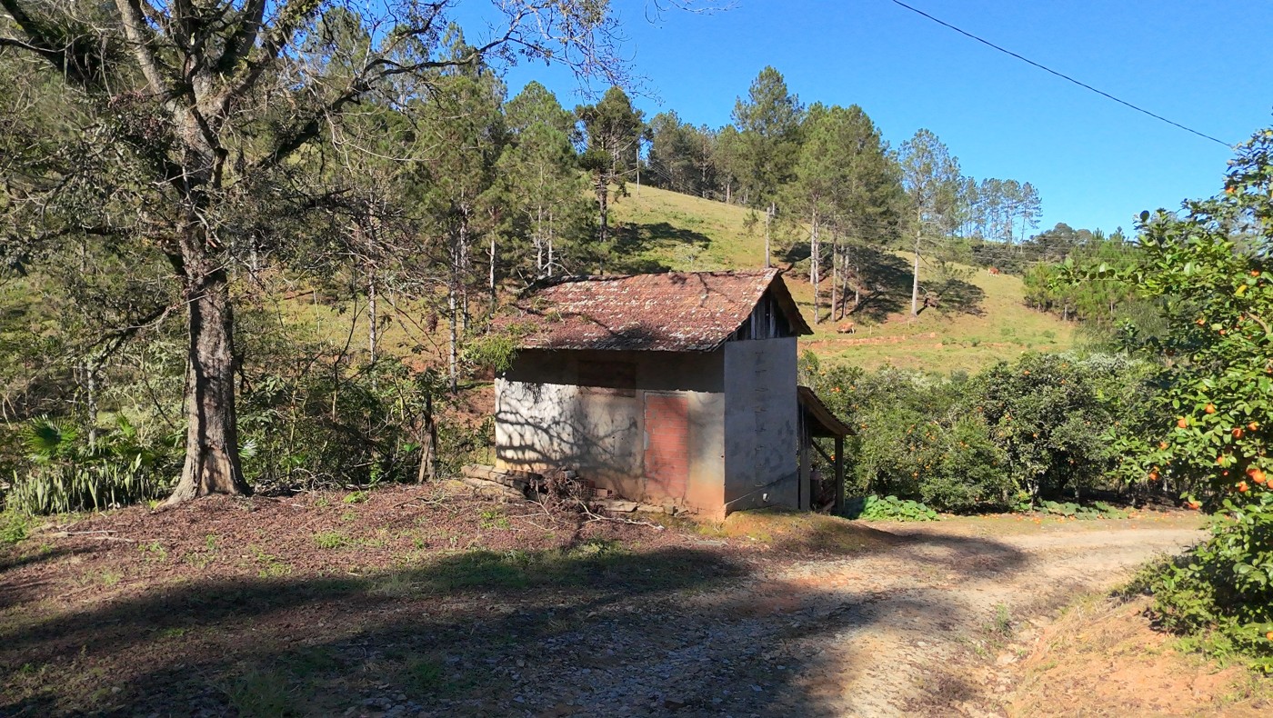 Sítio à venda com 3 quartos, 40000m² - Foto 43