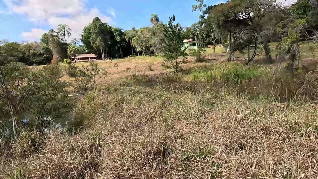 Sítio à venda com 3 quartos, 24000m² - Foto 41