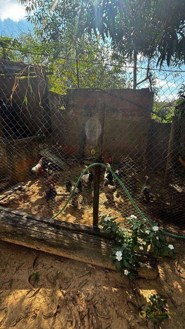 Chácara à venda com 3 quartos, 800m² - Foto 26