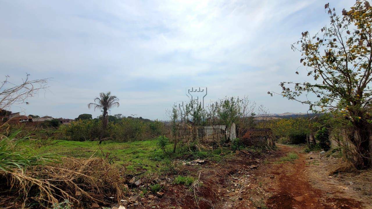 Chácara, 3 hectares - Foto 3