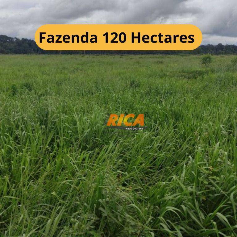 Fazenda-Sítio-Chácara, 120 hectares - Foto 1