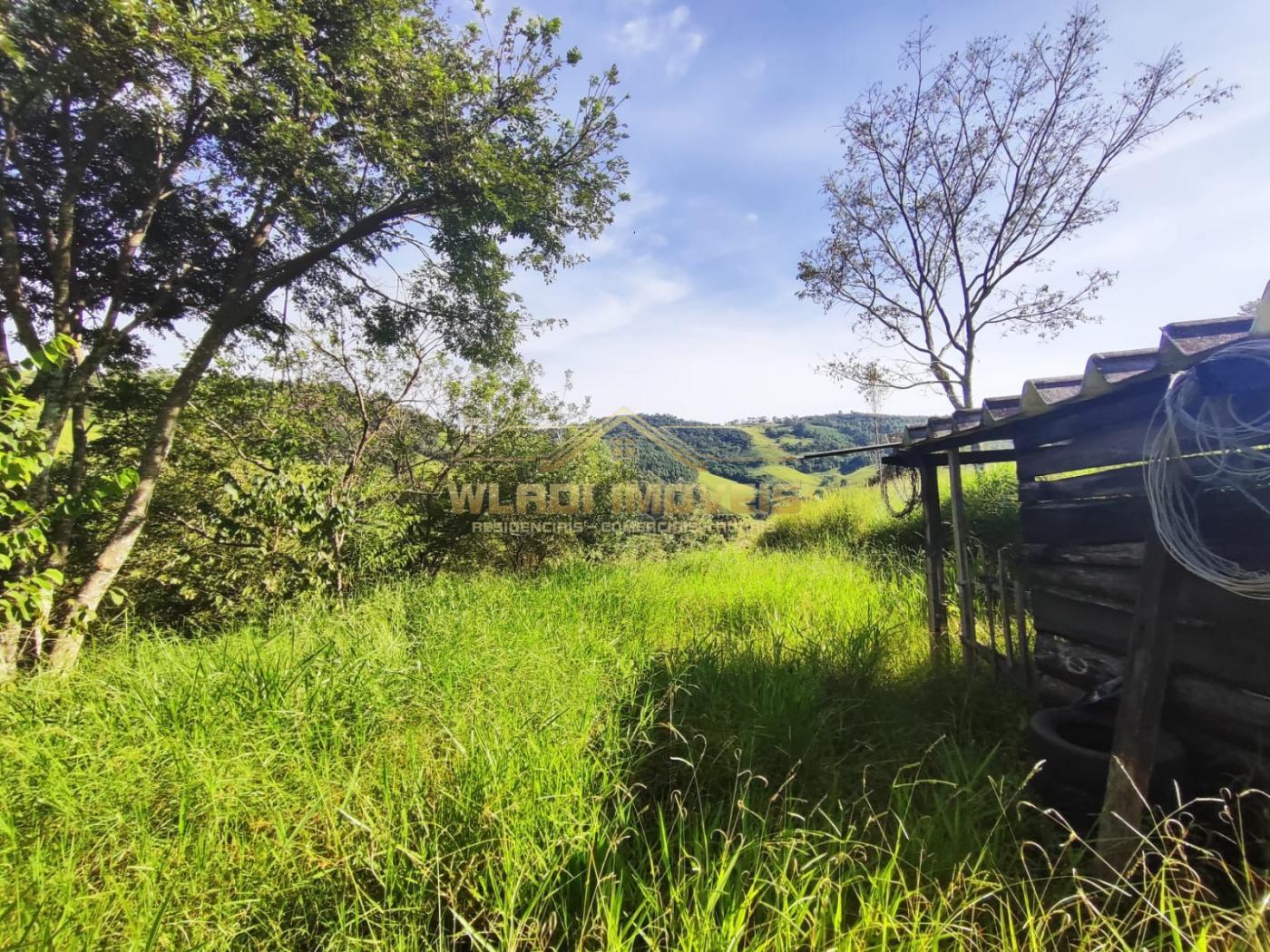 Fazenda à venda, 9000m² - Foto 14