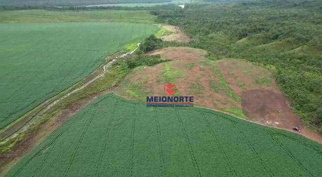 Fazenda-Sítio-Chácara, 1000 hectares - Foto 3