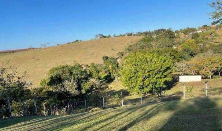 Fazenda à venda com 4 quartos, 15000m² - Foto 14