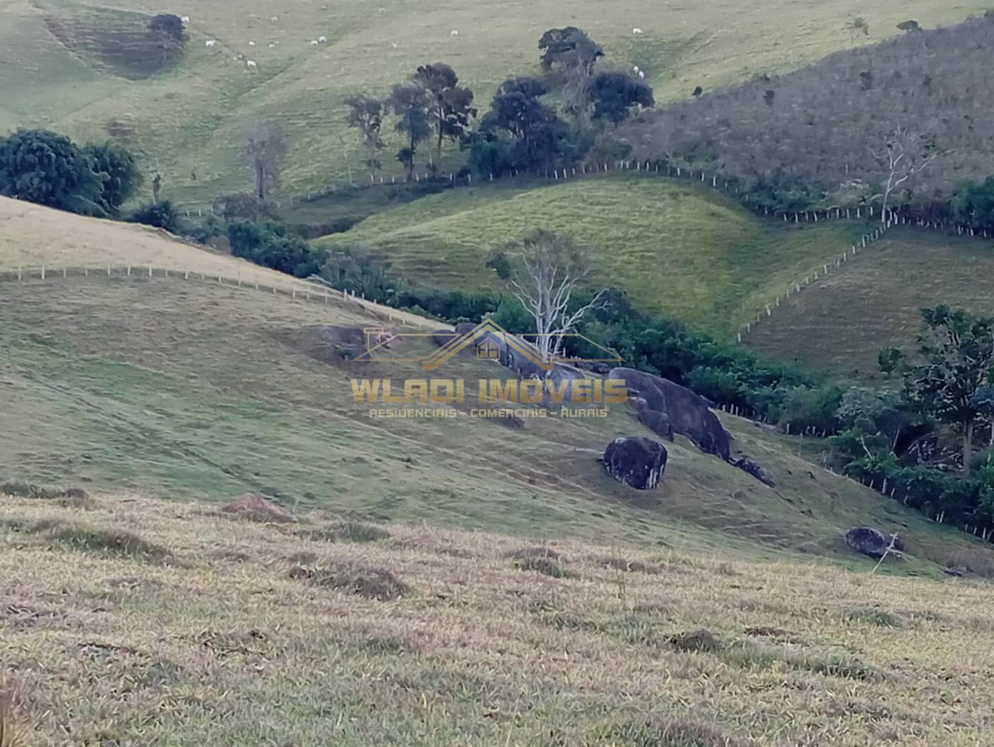 Fazenda à venda, 7m² - Foto 3