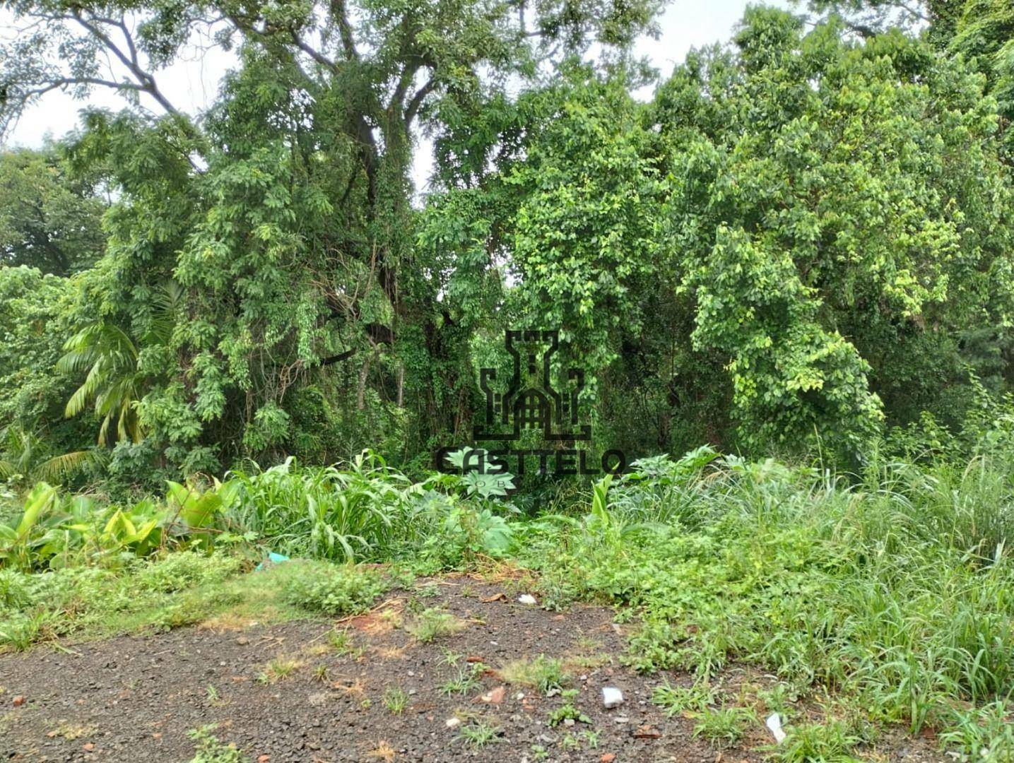 Terreno à venda, 453M2 - Foto 3