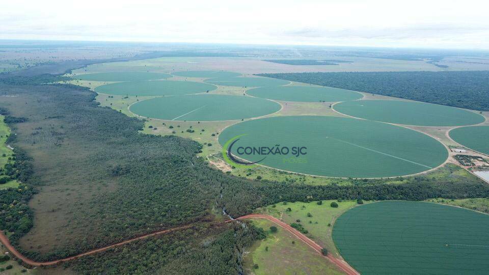 Fazenda à venda com 4 quartos, 56140000M2 - Foto 21