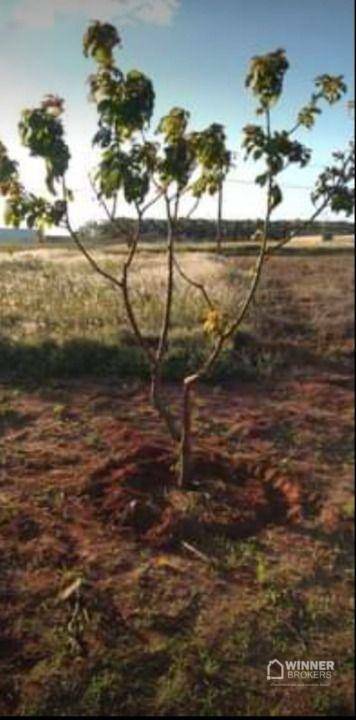 Terreno à venda, 600M2 - Foto 4