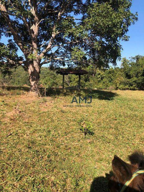 Fazenda à venda, 229899M2 - Foto 10