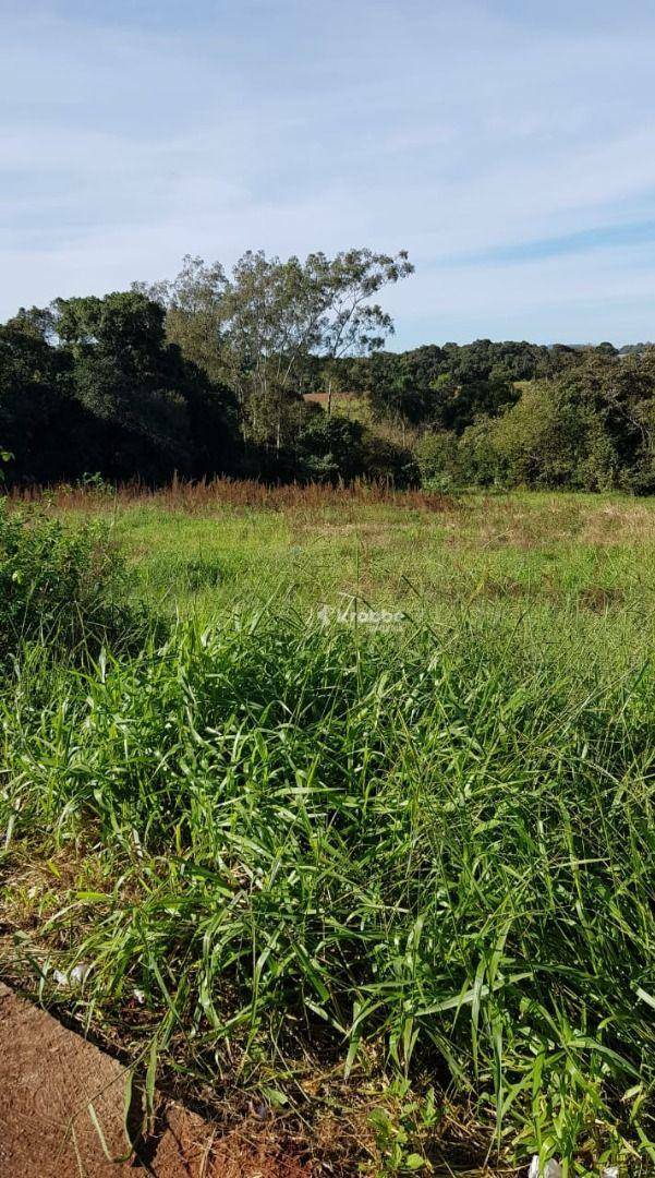 Terreno à venda, 361M2 - Foto 2