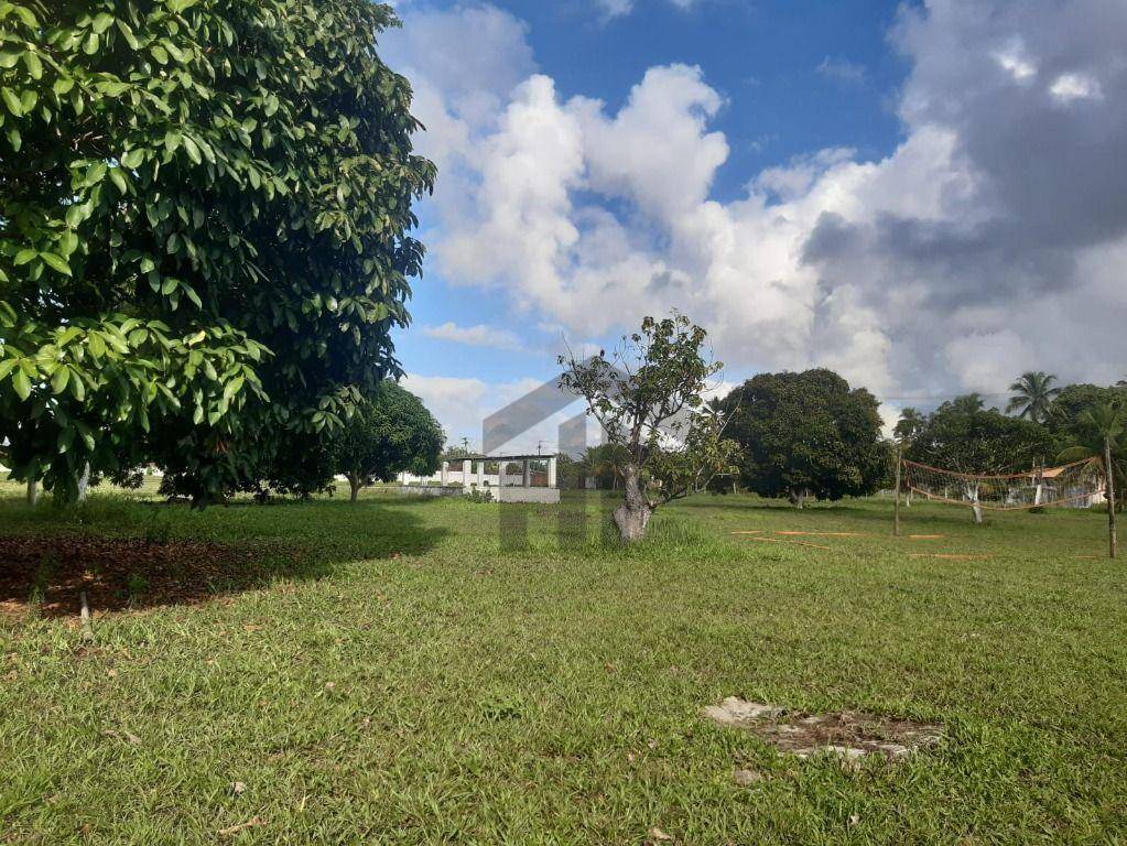 Terreno, 5 hectares - Foto 12