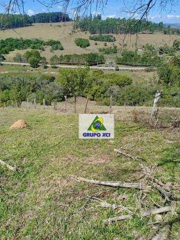 Sítio, 11 hectares - Foto 12