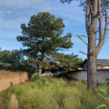 Terreno à venda, 418m² - Foto 6