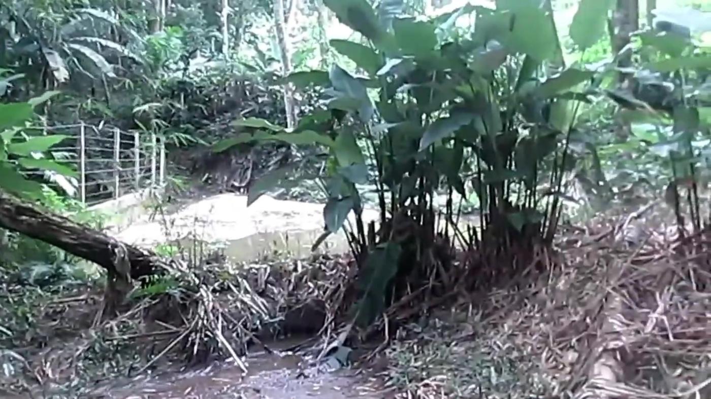 Chácara à venda com 4 quartos, 4000m² - Foto 31
