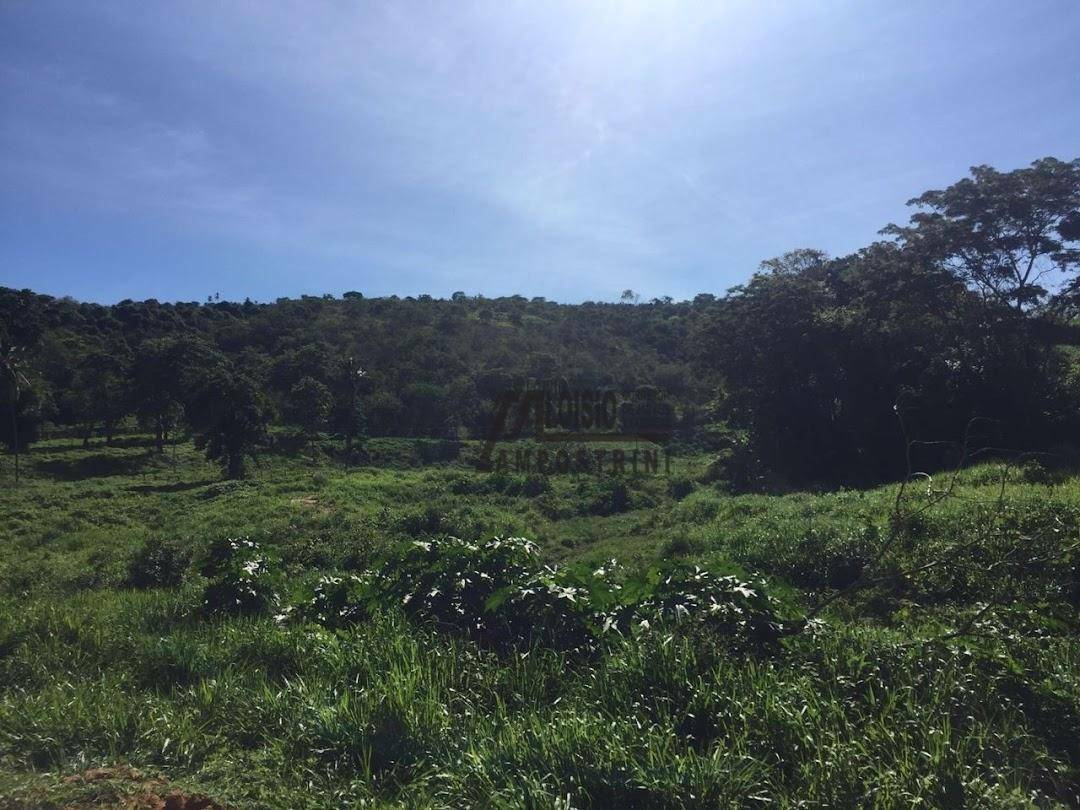 Fazenda à venda, 5469200M2 - Foto 48