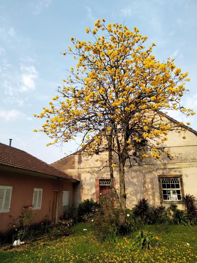 Fazenda à venda, 6900m² - Foto 38