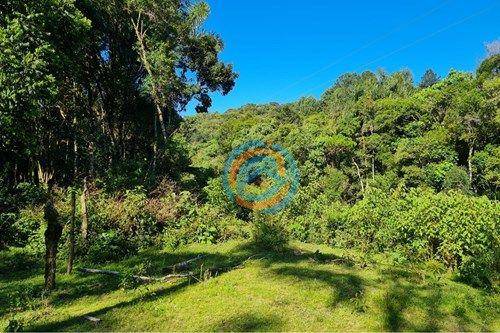 Chácara, 2 quartos, 5 hectares - Foto 5