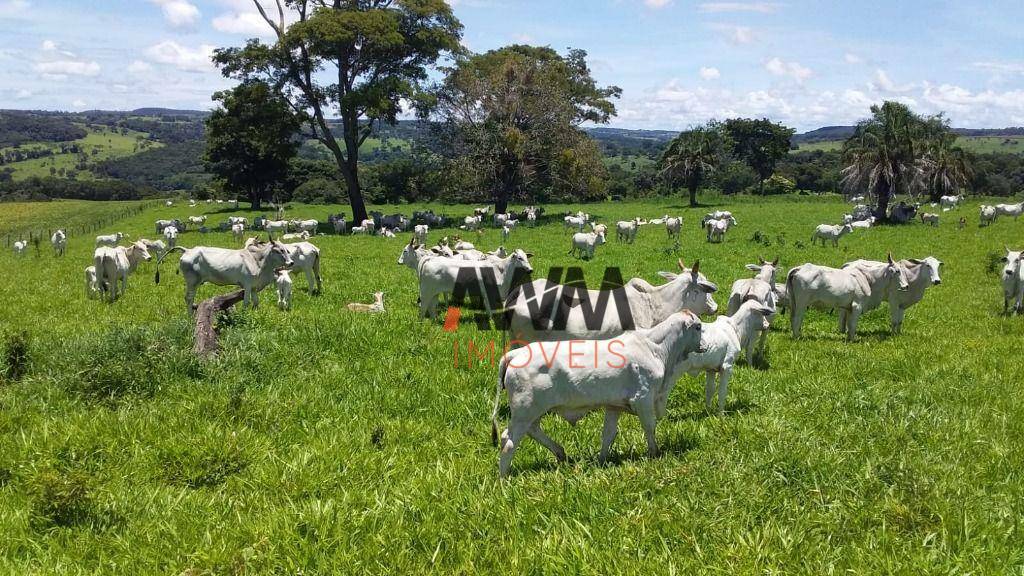 Fazenda à venda, 5008300M2 - Foto 1