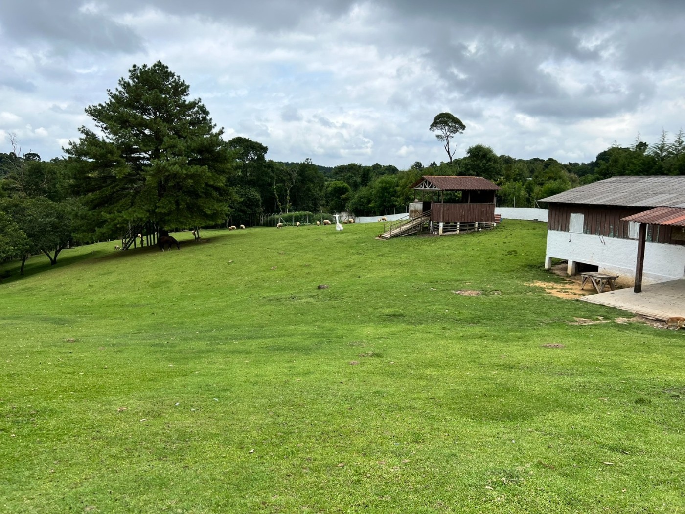 Fazenda à venda, 24200m² - Foto 17
