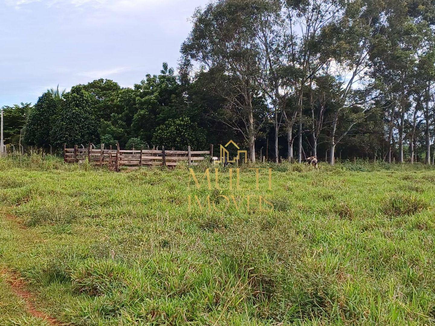 Sítio à venda, 48400M2 - Foto 10