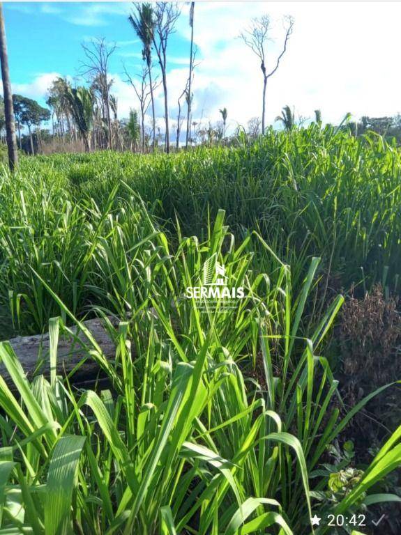 Sítio, 1 quarto, 80 hectares - Foto 2