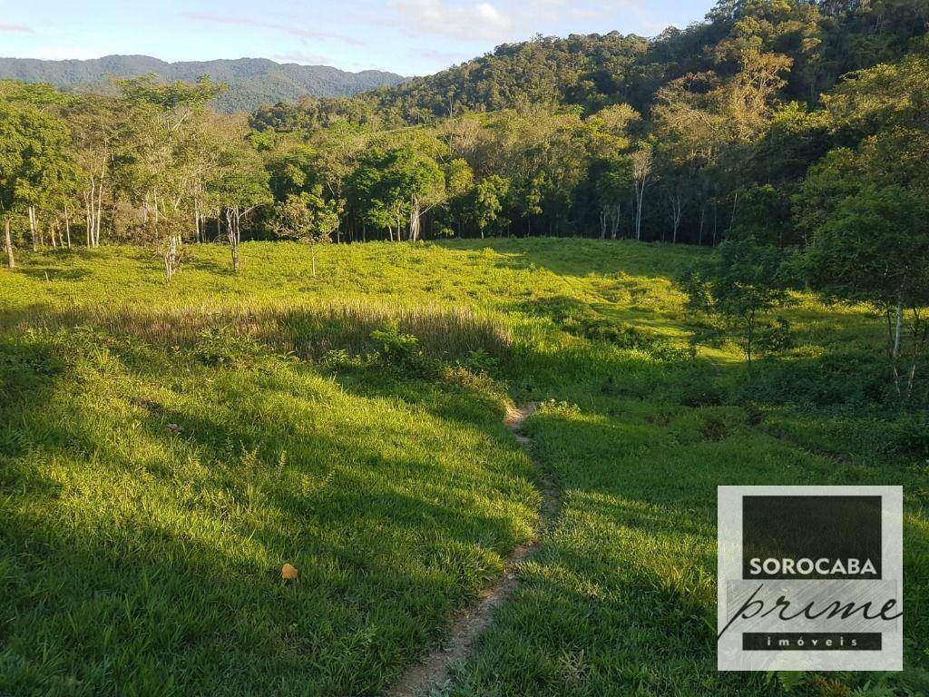 Fazenda à venda, 202000M2 - Foto 31