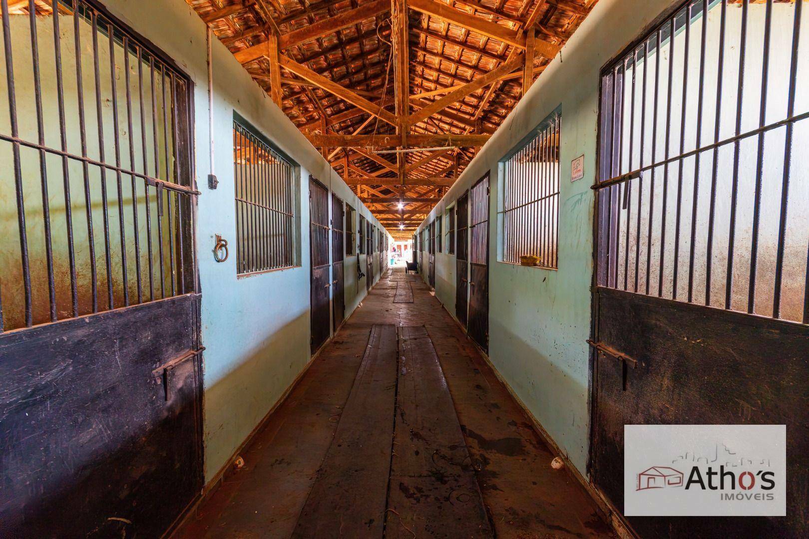 Haras e Área Rural Padrão à venda, 20140M2 - Foto 24