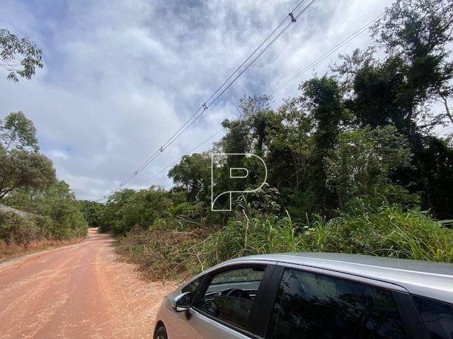 Terreno, 27 hectares - Foto 10