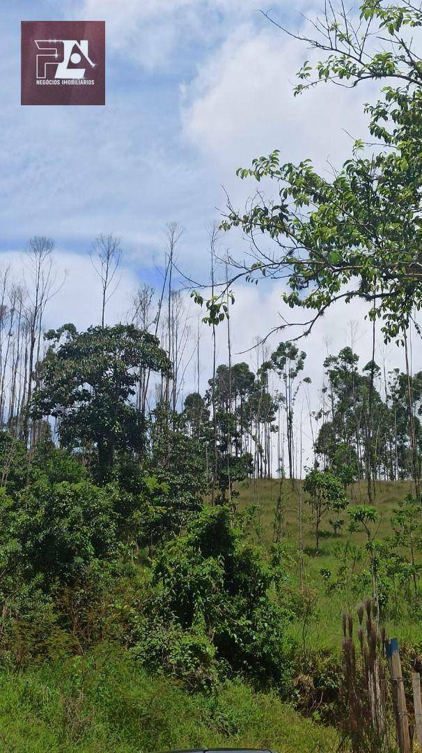 Fazenda à venda com 4 quartos, 1452000M2 - Foto 28