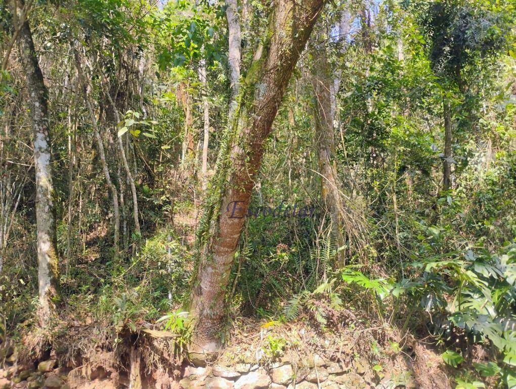 Loteamento e Condomínio à venda, 1270M2 - Foto 5