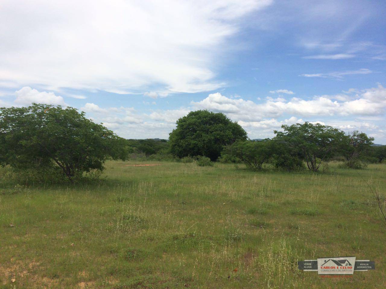 Fazenda-Sítio-Chácara, 3 hectares - Foto 4