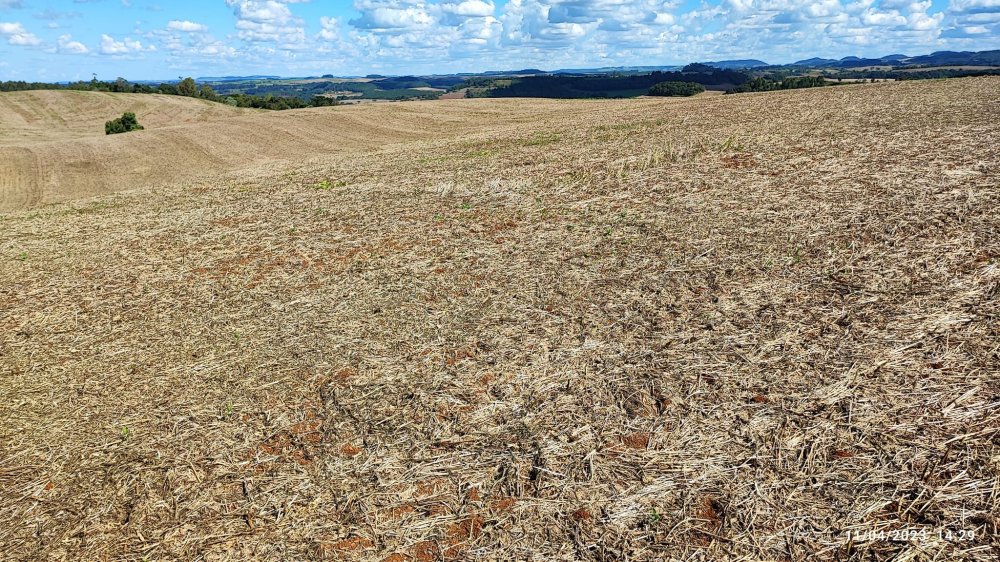 Fazenda à venda, 9m² - Foto 8