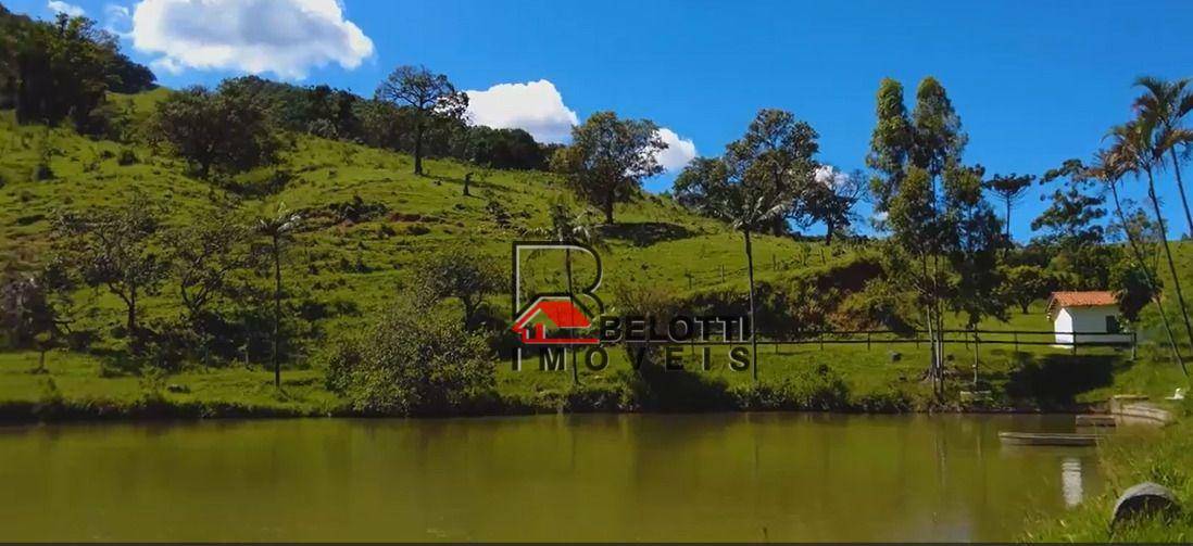 Fazenda à venda com 3 quartos, 3242800M2 - Foto 13