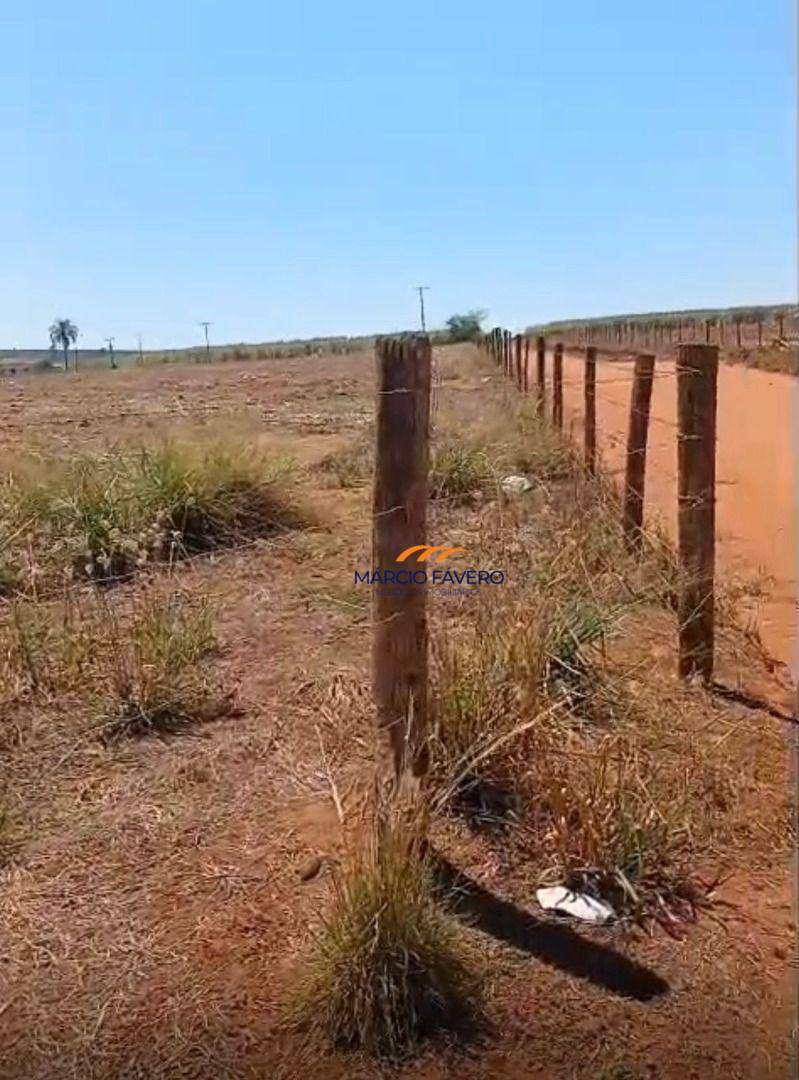 Sítio, 29 hectares - Foto 4