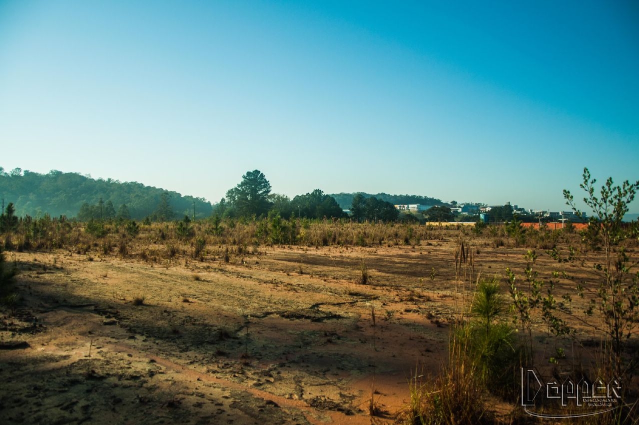 Terreno à venda - Foto 3