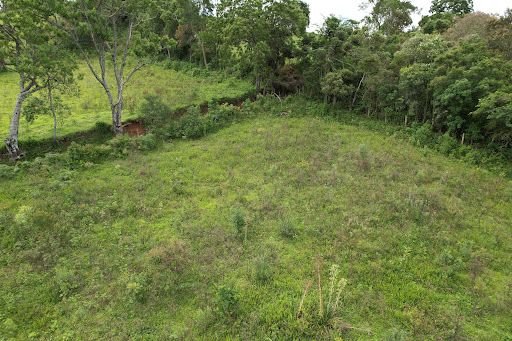 Terreno à venda, 75000M2 - Foto 18