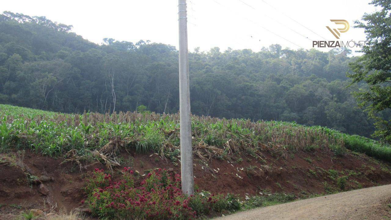 Terreno à venda, 98000M2 - Foto 12