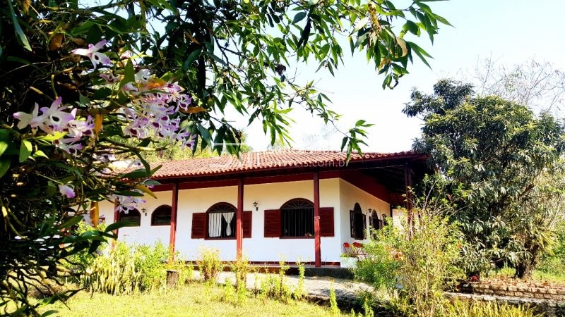 Fazenda à venda com 3 quartos, 300m² - Foto 32