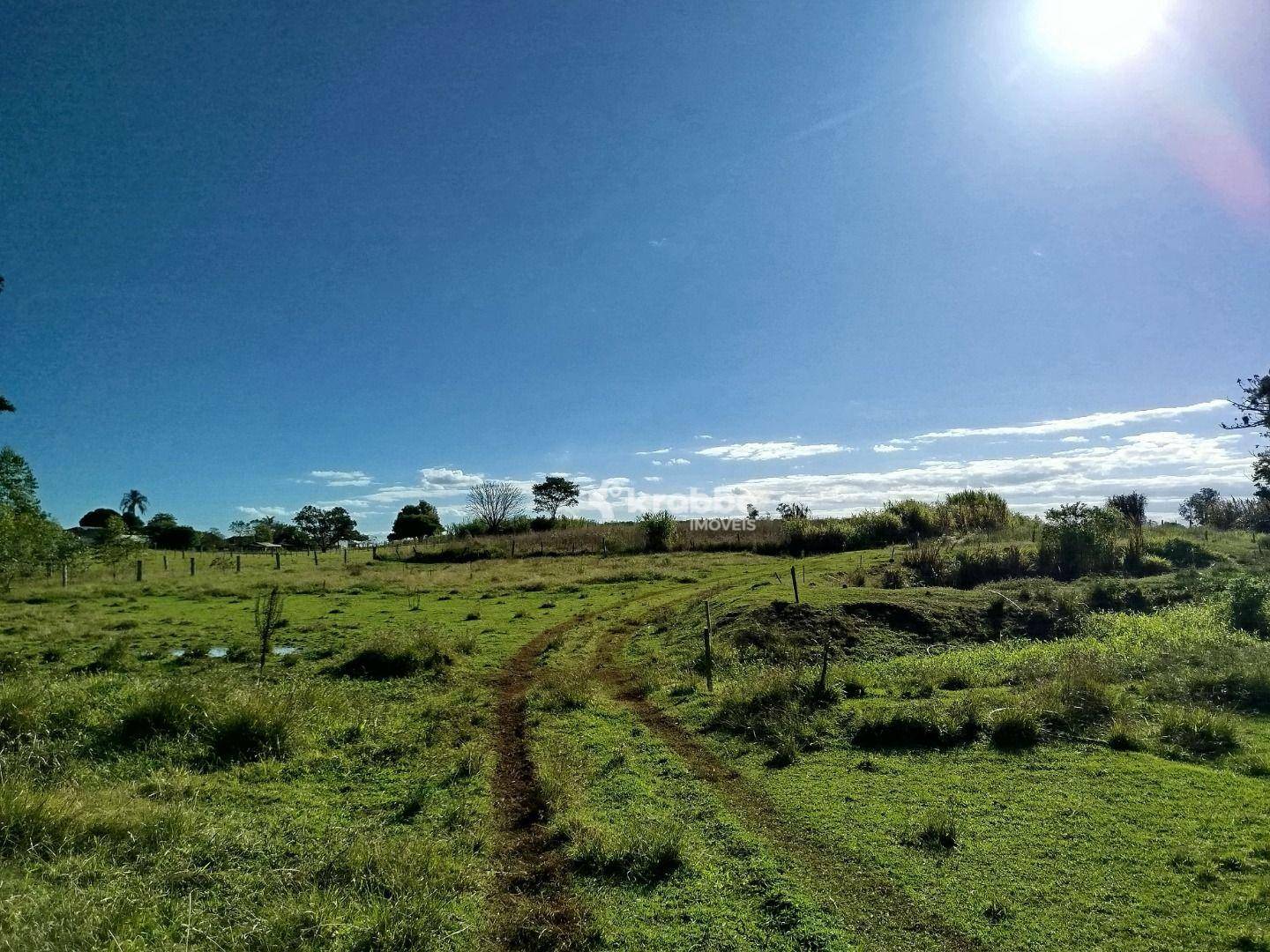 Chácara à venda com 2 quartos, 16000M2 - Foto 7