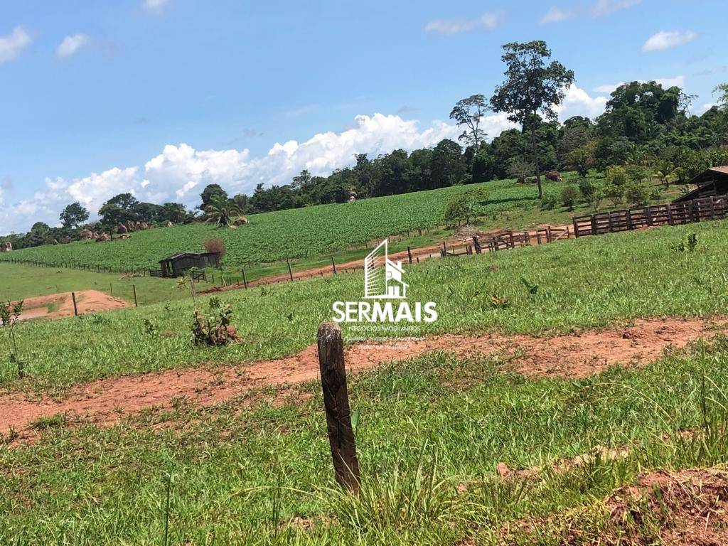Fazenda, 479 hectares - Foto 4