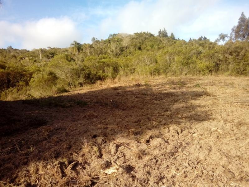 Sítio à venda com 1 quarto, 30000m² - Foto 15