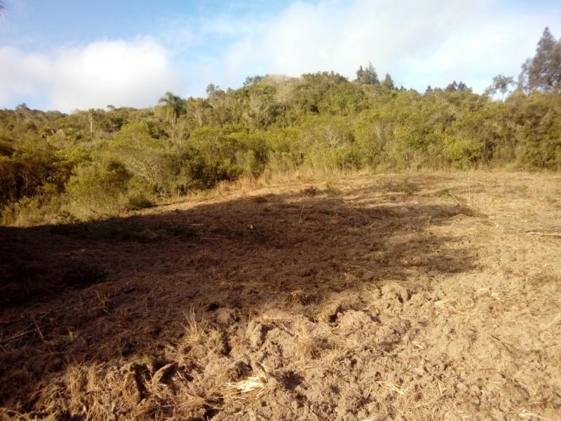 Fazenda à venda com 1 quarto, 30000m² - Foto 15