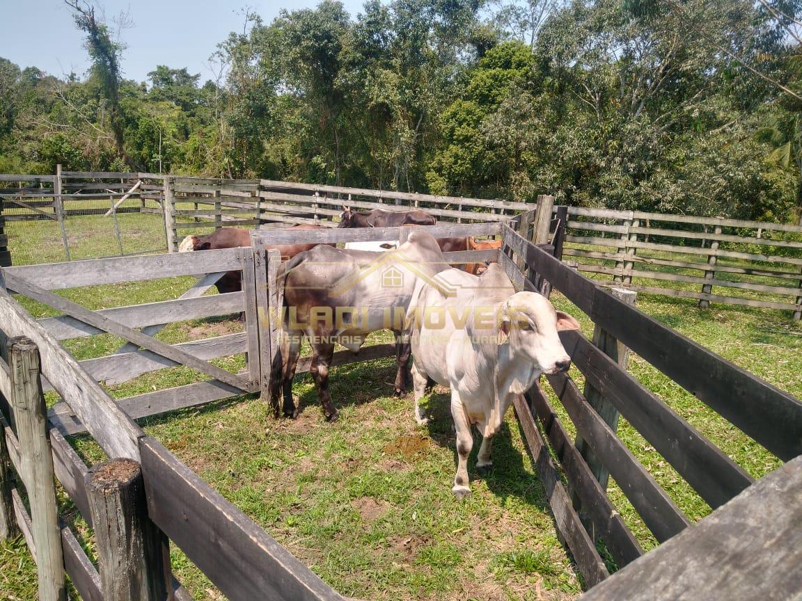 Fazenda à venda, 620m² - Foto 5