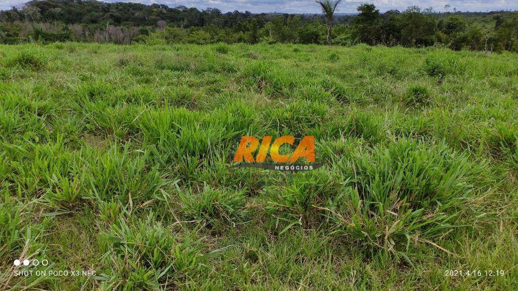 Fazenda à venda, 2180000M2 - Foto 10