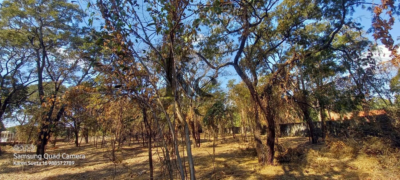 Fazenda à venda, 5850m² - Foto 3