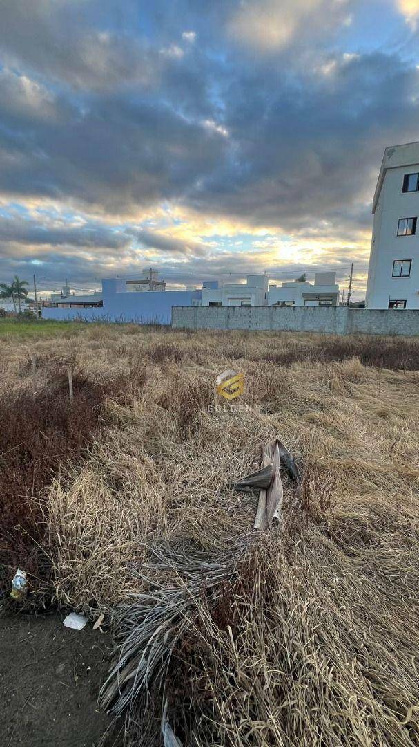 Terreno à venda, 360M2 - Foto 6
