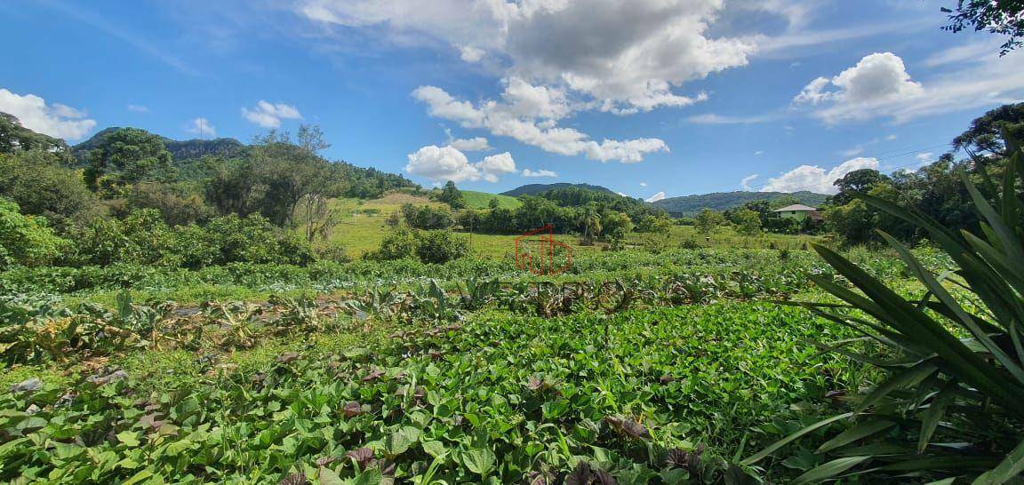 Sítio à venda, 100000M2 - Foto 5