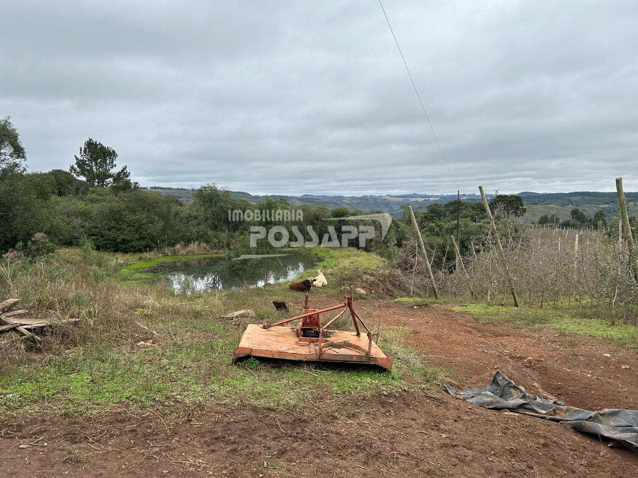 Loteamento e Condomínio à venda com 3 quartos, 14800m² - Foto 11