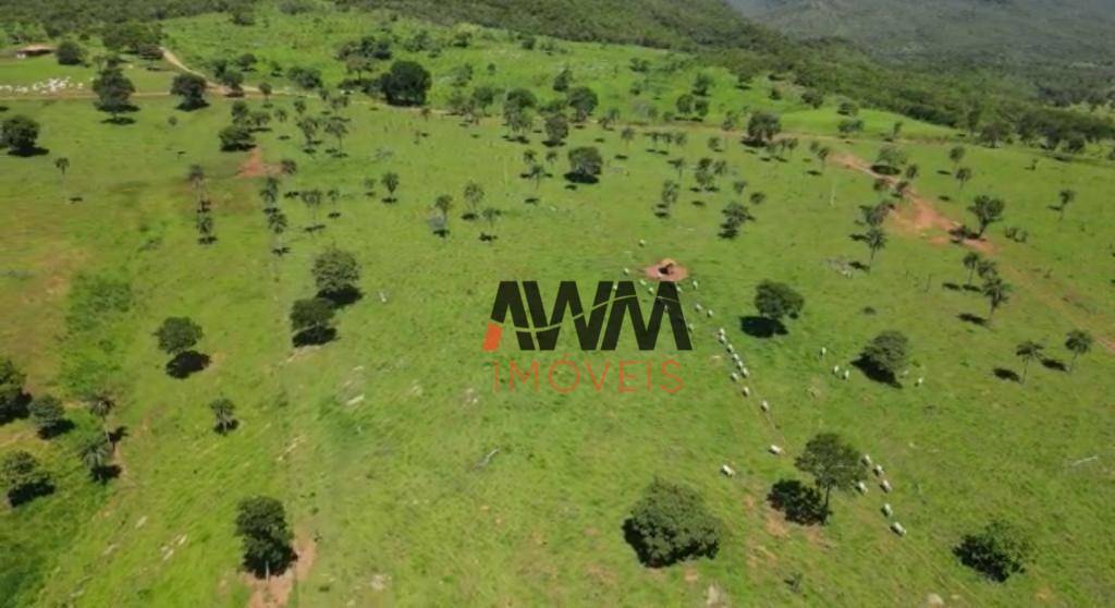 Fazenda, 823 hectares - Foto 28